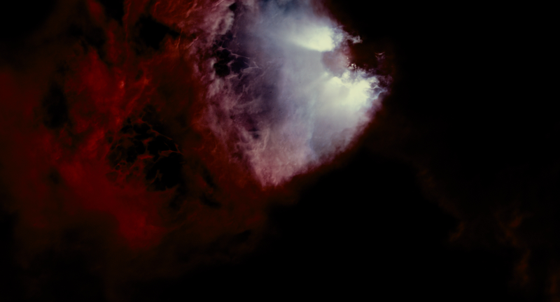 Illustration for article titled Gorgeous Tree of Life stills look like the greatest science epic of all time